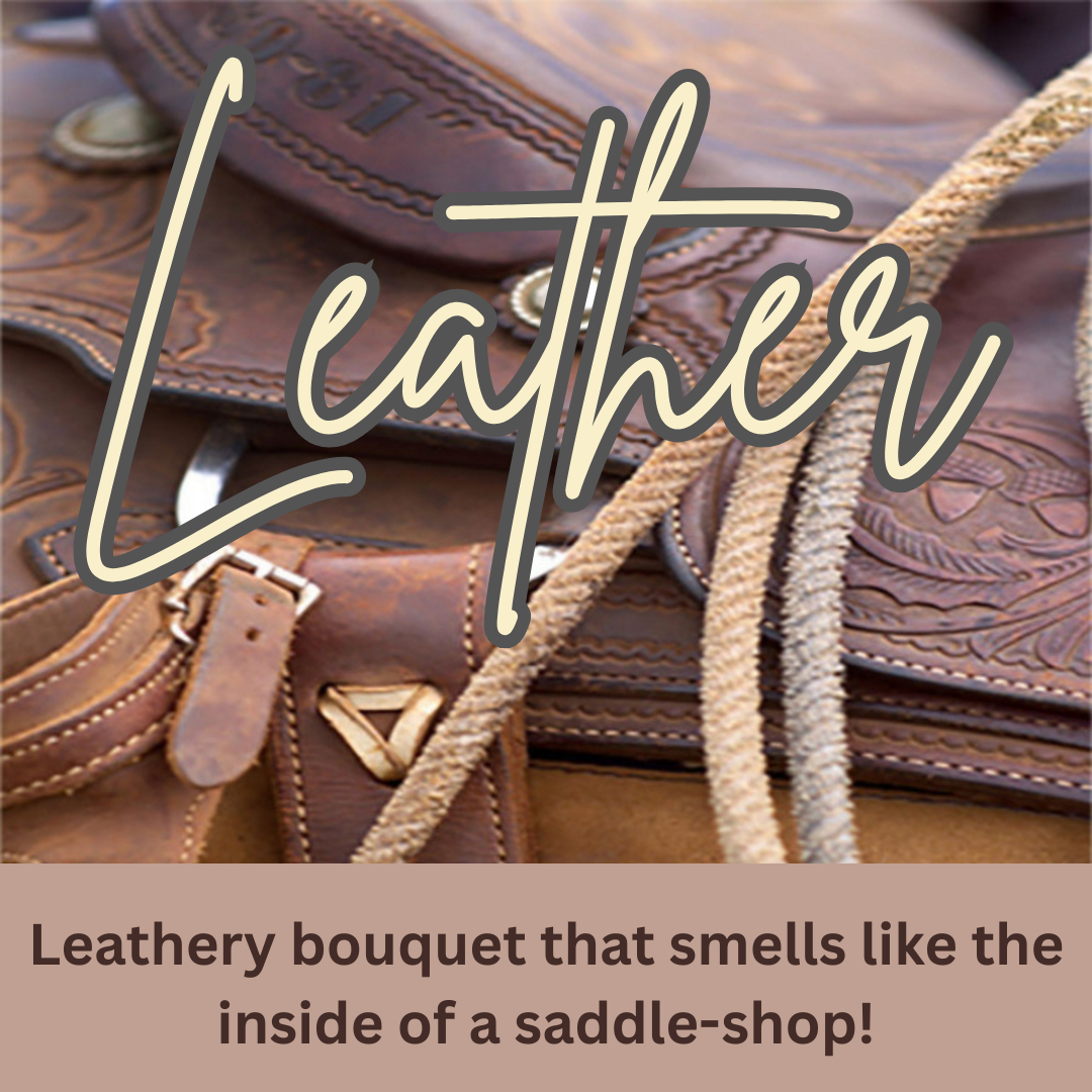 Bass Pro Camp Mug Candle – Leather Scent 🐟🕯️